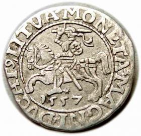 Obrazek dla: Półgrosz 1557 Zygmunt II August Wilno
