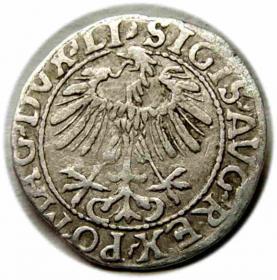 Obrazek 2 dla: Półgrosz 1557 Zygmunt II August Wilno