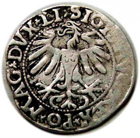 Obrazek 2 dla: Półgrosz 1558 Zygmunt II August Wilno