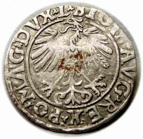 Obrazek 2 dla: Półgrosz 1558 Zygmunt II August Wilno