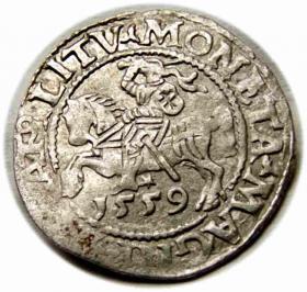 Obrazek dla: Półgrosz 1559 Zygmunt II August Wilno