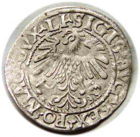 Obrazek 2 dla: Półgrosz 1559 Zygmunt II August Wilno