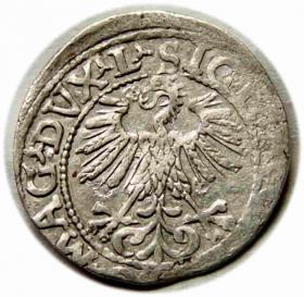 Obrazek 2 dla: Półgrosz 1560 Zygmunt II August Wilno