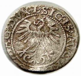 Obrazek 2 dla: Półgrosz 1560 Zygmunt II August Wilno