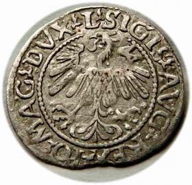 Obrazek 2 dla: Półgrosz 1560 Zygmunt II August Wilno