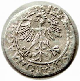 Obrazek 2 dla: Półgrosz 1560 Zygmunt II August Wilno