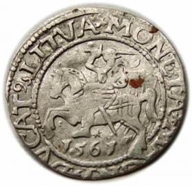 Obrazek dla: Półgrosz 1561 Zygmunt II August Wilno