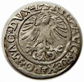 Obrazek 2 dla: Półgrosz 1561 Zygmunt II August Wilno