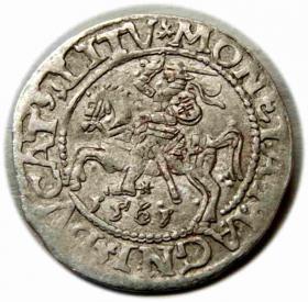 Obrazek dla: Półgrosz 1561 Zygmunt II August Wilno