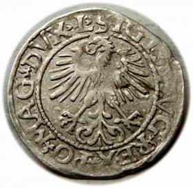 Obrazek 2 dla: Półgrosz 1561 Zygmunt II August Wilno