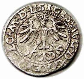 Obrazek 2 dla: Półgrosz 1563 Zygmunt II August Wilno