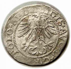 Obrazek 2 dla: Półgrosz 1564 Zygmunt II August Wilno