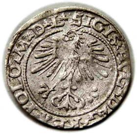 Obrazek 2 dla: Półgrosz 1564 Zygmunt II August Wilno