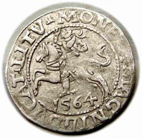 Obrazek dla: Półgrosz 1564 Zygmunt II August Wilno