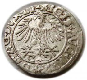 Obrazek 2 dla: Półgrosz 1556 Zygmunt II August Wilno