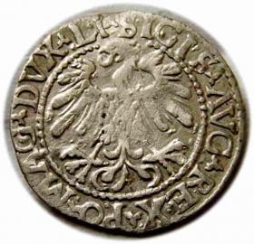 Obrazek 2 dla: Półgrosz 1559 Zygmunt II August Wilno