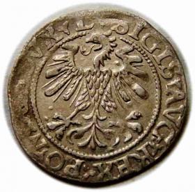 Obrazek 2 dla: Półgrosz 1560 Zygmunt II August Wilno