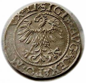 Obrazek 2 dla: Półgrosz 1561 Zygmunt II August Wilno