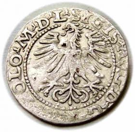 Obrazek 2 dla: Półgrosz 1564 Zygmunt II August Wilno