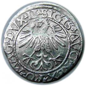 Obrazek 2 dla: Półgrosz 1561 Zygmunt II August Wilno