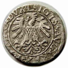 Obrazek 2 dla: Półgrosz 1559 Zygmunt II August Wilno