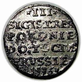 Obrazek 2 dla: Trojak 1536 Zygmunt I Stary Elbląg