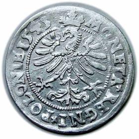 Obrazek 2 dla: Grosz 1545 Zygmunt I Stary Kraków
