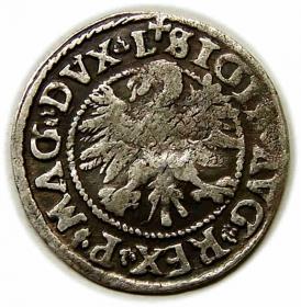 Obrazek 2 dla: Półgrosz 1546 Zygmunt II August Wilno