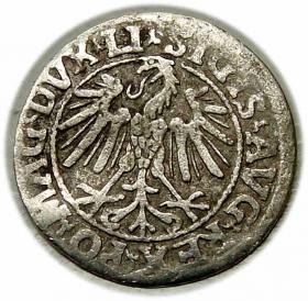 Obrazek 2 dla: Półgrosz 1546 Zygmunt II August Wilno