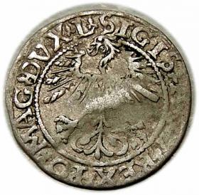 Obrazek 2 dla: Półgrosz 1561 Zygmunt II August Wilno