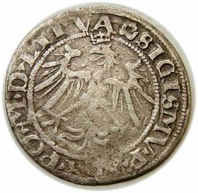 Obrazek 2 dla: Grosz 1536 Zygmunt I Stary Wilno