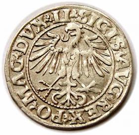 Obrazek 2 dla: Półgrosz 1549 Zygmunt II August Wilno