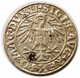 Obrazek 2 dla: Półgrosz 1550 Zygmunt II August Wilno