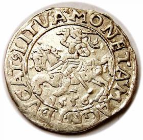 Obrazek dla: Półgrosz 1556 Zygmunt II August Wilno