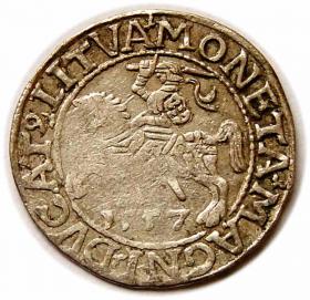 Obrazek dla: Półgrosz 1557 Zygmunt II August Wilno