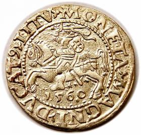 Obrazek dla: Półgrosz 1560 Zygmunt II August Wilno