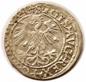 Obrazek 2 dla: Półgrosz 1560 Zygmunt II August Wilno