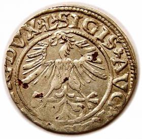 Obrazek 2 dla: Półgrosz 1561 Zygmunt II August Wilno