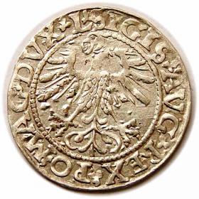 Obrazek 2 dla: Półgrosz 1561 Zygmunt II August Wilno