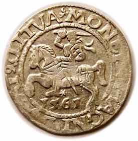 Obrazek dla: Półgrosz 1561 Zygmunt II August Wilno