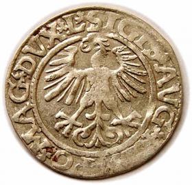 Obrazek 2 dla: Półgrosz 1561 Zygmunt II August Wilno