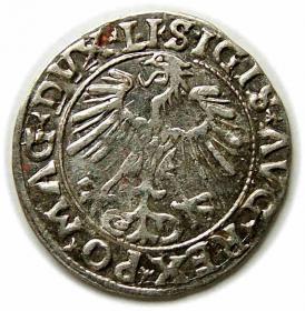 Obrazek 2 dla: Półgrosz 1556 Zygmunt II August Wilno