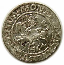 Obrazek dla: Półgrosz 1564 Zygmunt II August Wilno