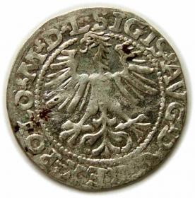 Obrazek 2 dla: Półgrosz 1564 Zygmunt II August Wilno