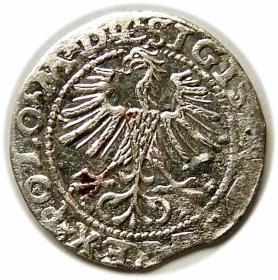 Obrazek 2 dla: Półgrosz 1564 Zygmunt II August Wilno