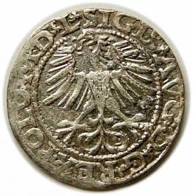 Obrazek 2 dla: Półgrosz 1564 Zygmunt II August Wilno