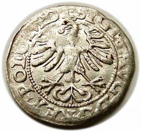 Obrazek 2 dla: Półgrosz 1565 Zygmunt II August Wilno