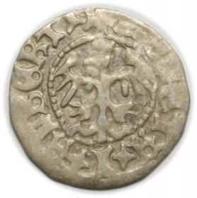 Obrazek 2 dla: Półgrosz Jan Olbracht Kraków