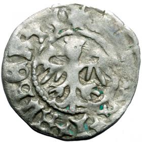 Obrazek 2 dla: Półgrosz Jan Olbracht Kraków