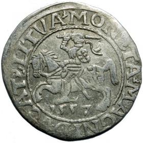 Obrazek dla: Półgrosz 1557 Zygmunt II August Wilno